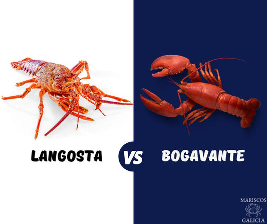 ¿Cuál es la diferencia entre bogavante y langosta?
